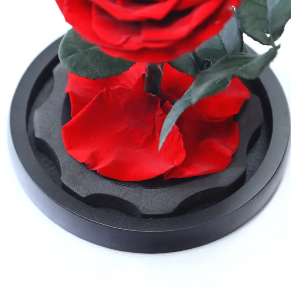 Konservierte Rose zum Valentinstag & Muttertag