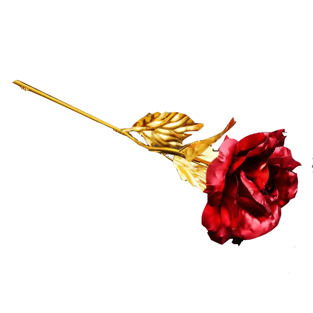 Goldene Rose "Rosi"