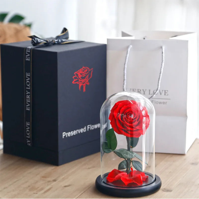 Konservierte Rose zum Valentinstag & Muttertag