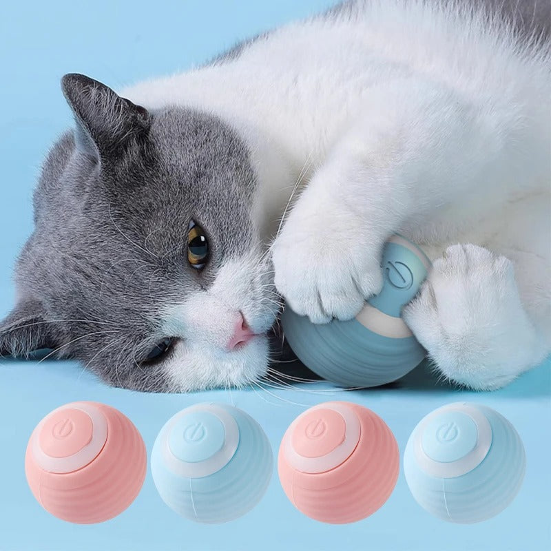 CatPlay interaktiver Katzenspielball