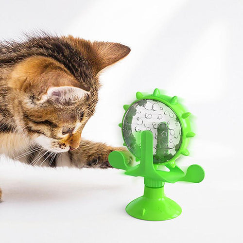 Activity Hunde-& Katzenspielzeug