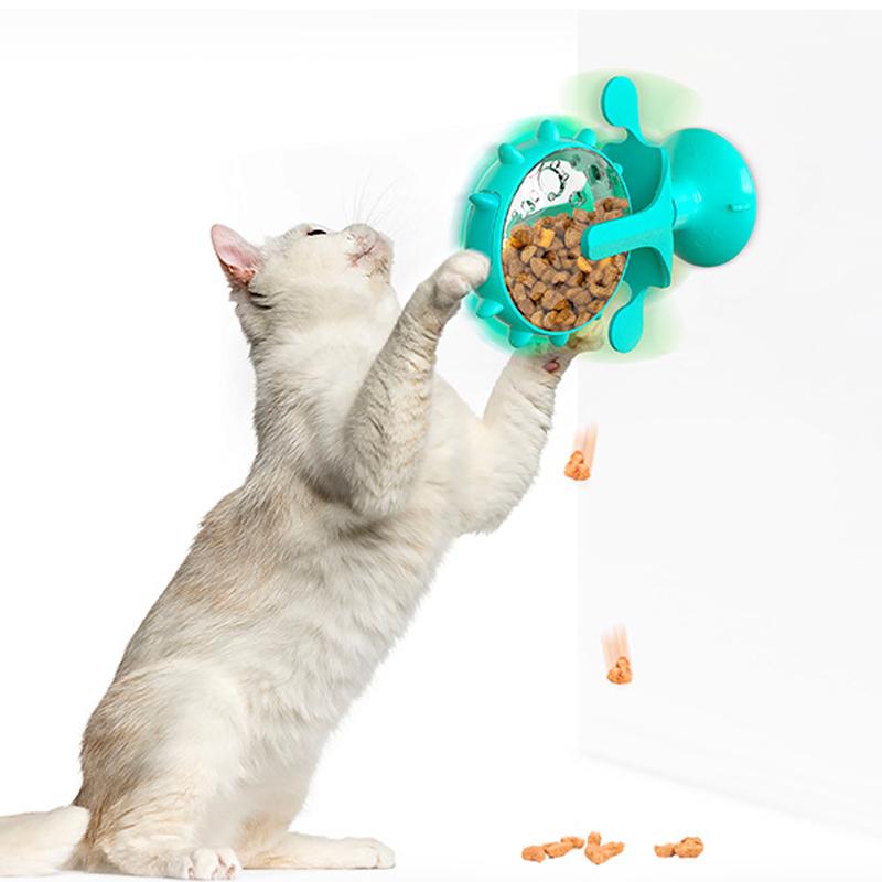 Activity Hunde-&Katzenspielzeug