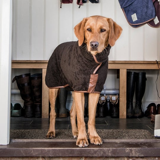 Hunde Bademantel