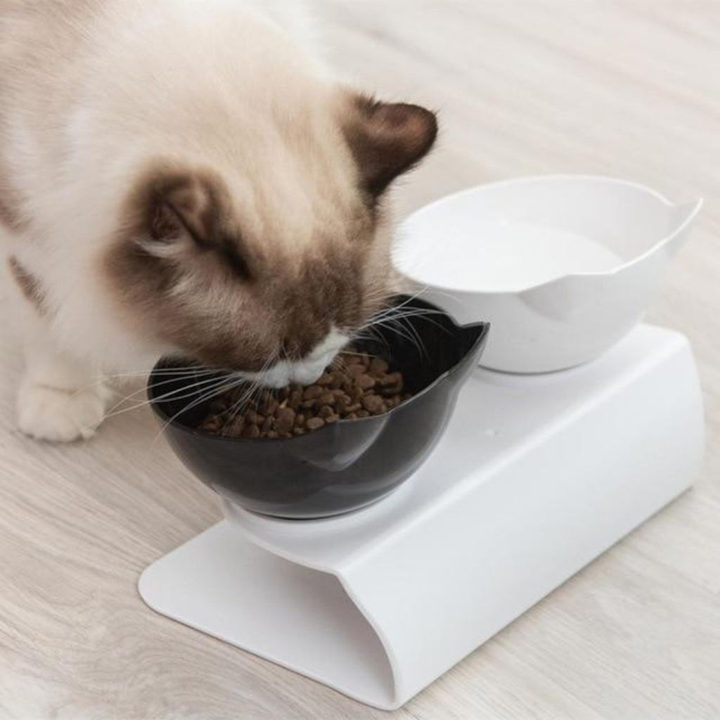 erhöhter fressnapf für katzen
