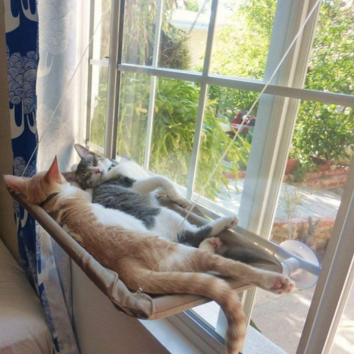 Katzen Hängematte