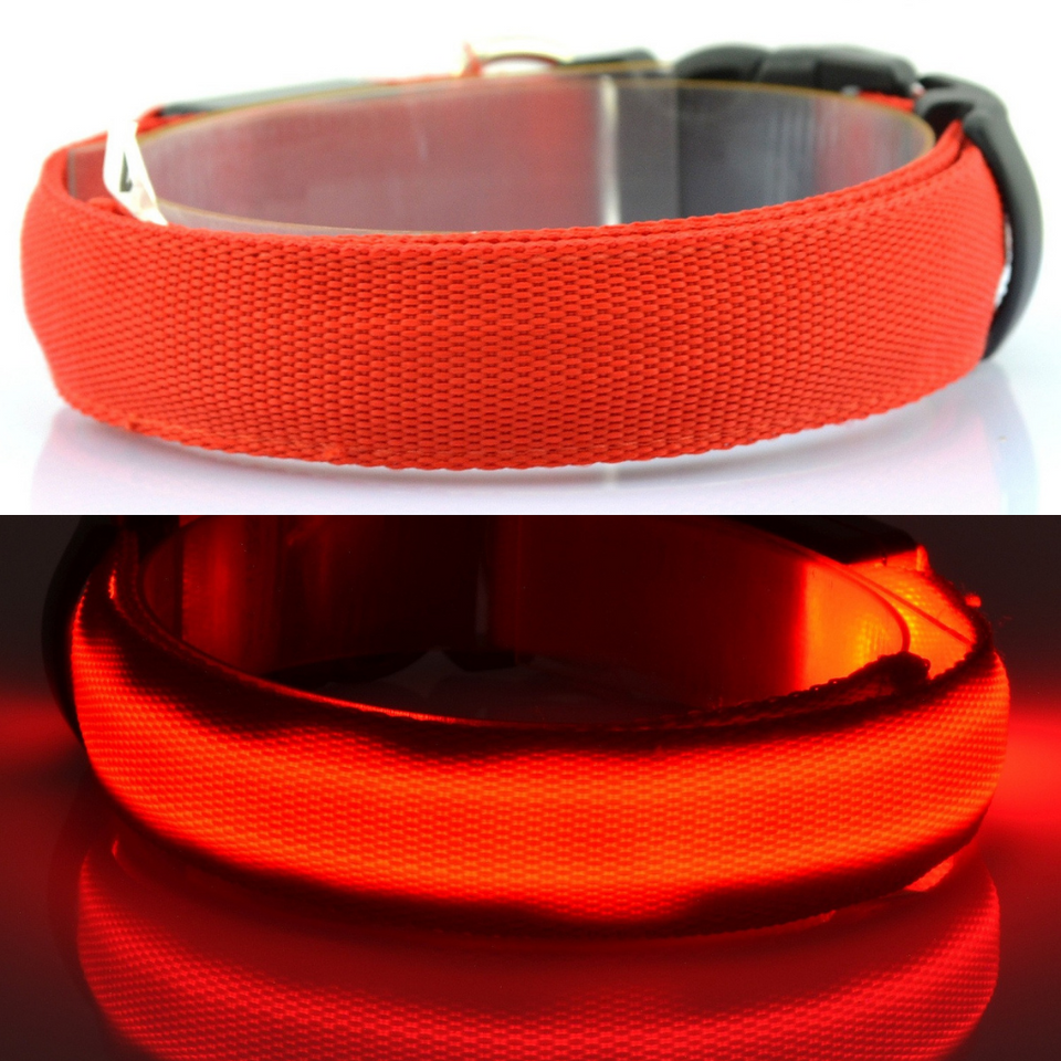 PetSave - LED-Hundehalsband