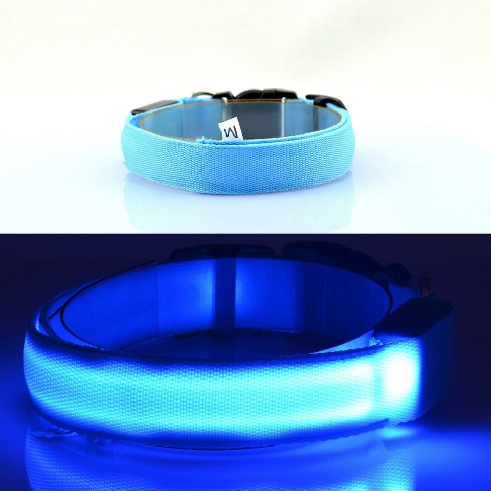 PetSave - LED-Hundehalsband