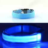 PetSave - LED-Hundehalsband