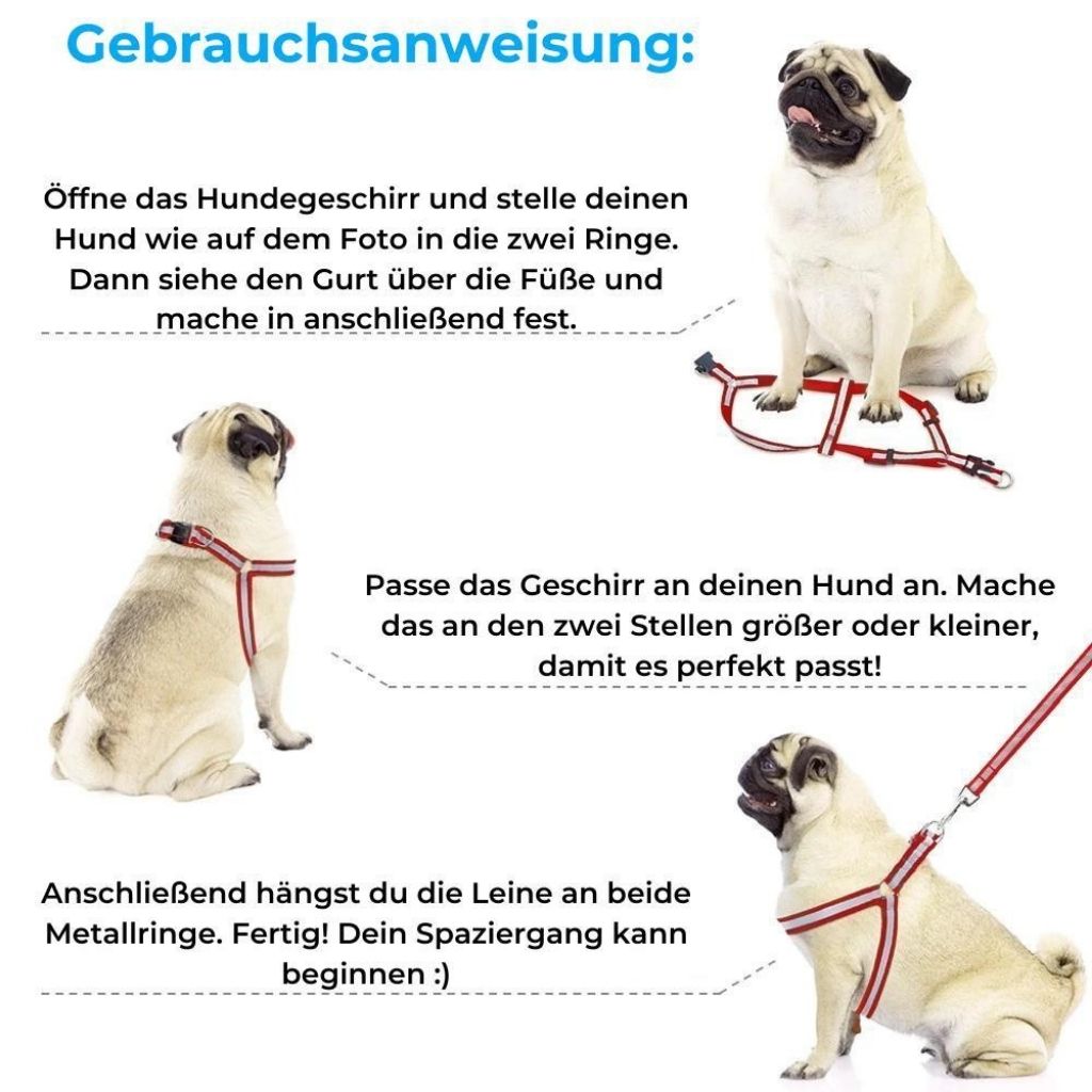 Comfort - Hundegeschirr mit Leine