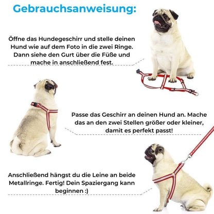 Comfort - Hundegeschirr mit Leine