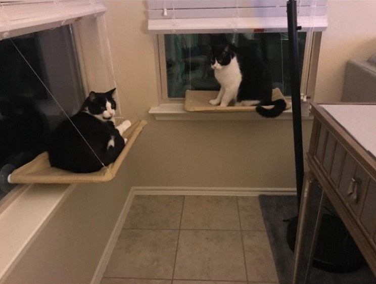 Katzen Hängematte