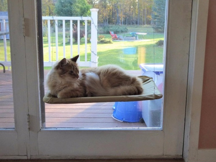 Katzen Hängematte