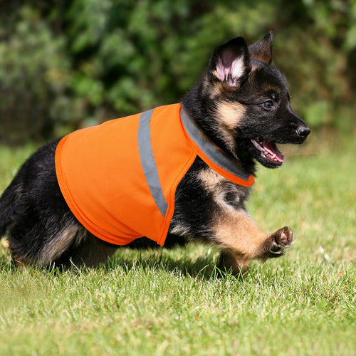 Reflektierende Hundeweste