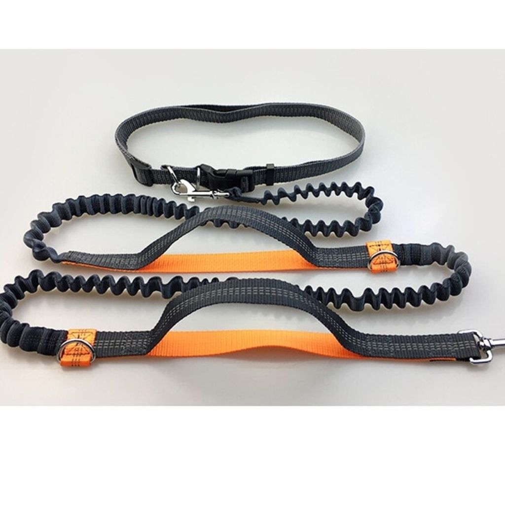 DogRun - Comfort Jogger Leine