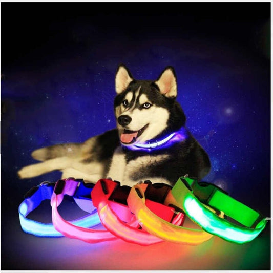 PetSave - LED-Hundehalsband