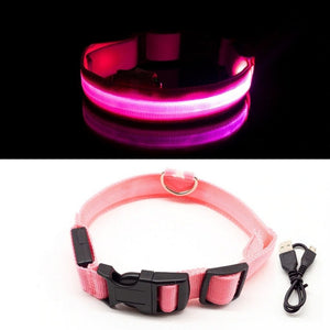 PetSave - LED-Hundehalsband