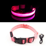PetSave - LED-Hundehalsband