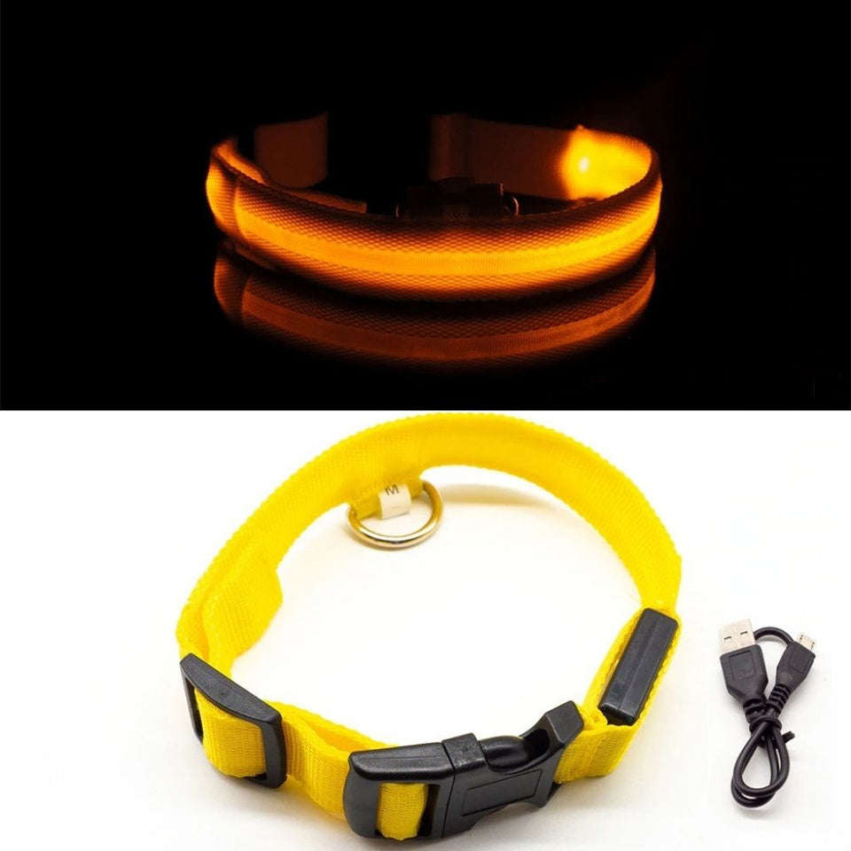 PetSave - LED-Hundehalsband