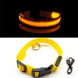PetSave - LED-Hundehalsband