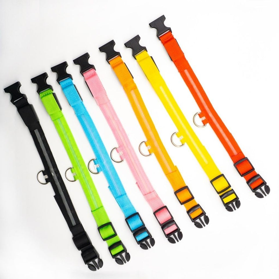 PetSave - LED-Hundehalsband