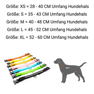 PetSave - LED-Hundehalsband