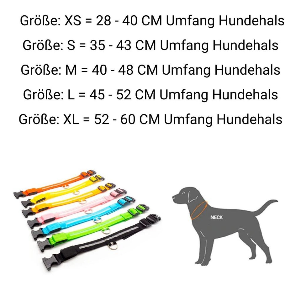 PetSave - LED-Hundehalsband