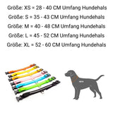PetSave - LED-Hundehalsband