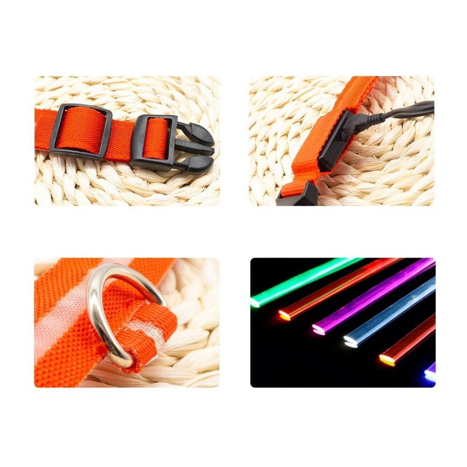 PetSave - LED-Hundehalsband