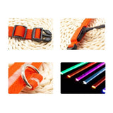 PetSave - LED-Hundehalsband