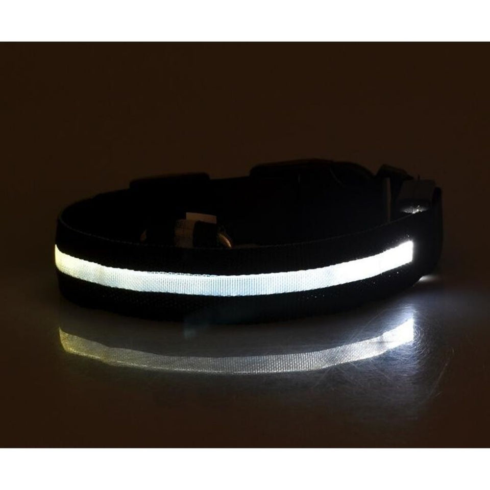 PetSave - LED-Hundehalsband