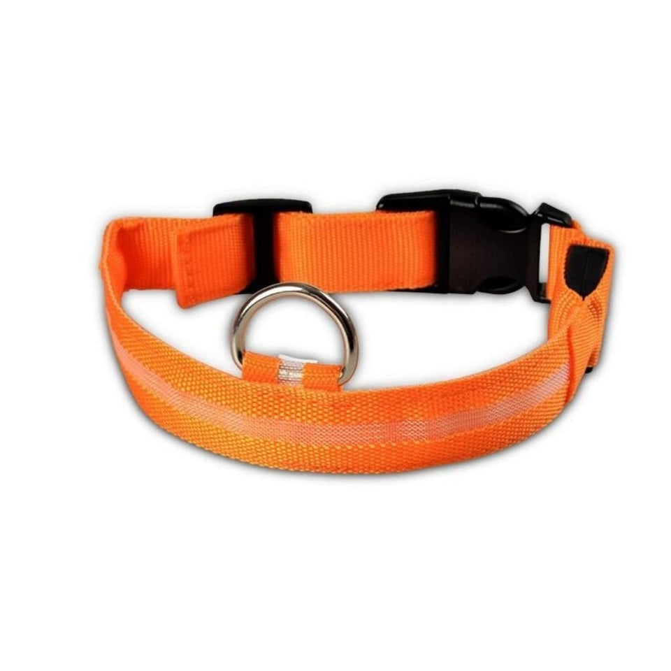 PetSave - LED-Hundehalsband