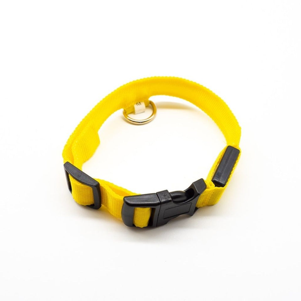 PetSave - LED-Hundehalsband