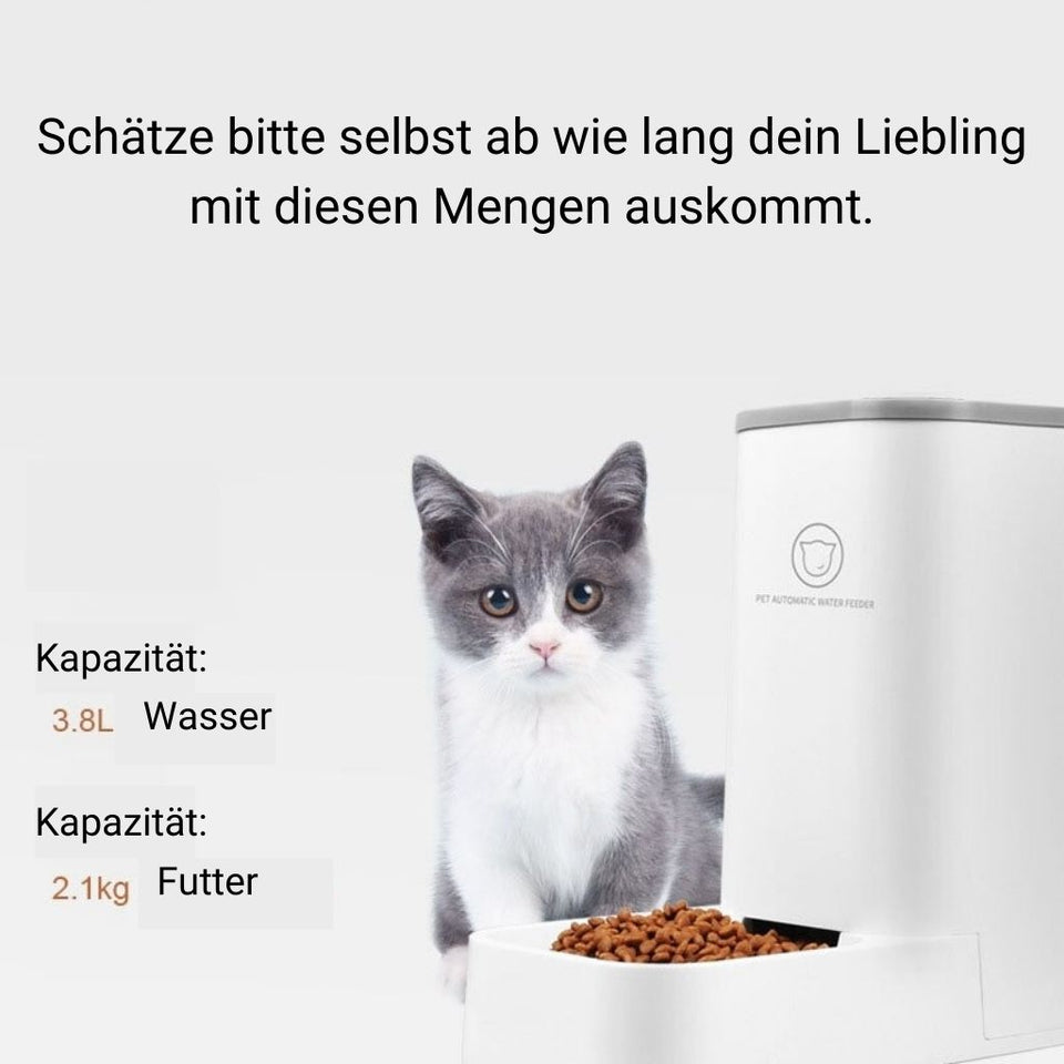 Magic Feeder - automatische Futterstation für dein Haustier