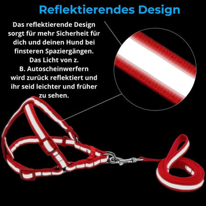 Comfort - Hundegeschirr mit Leine