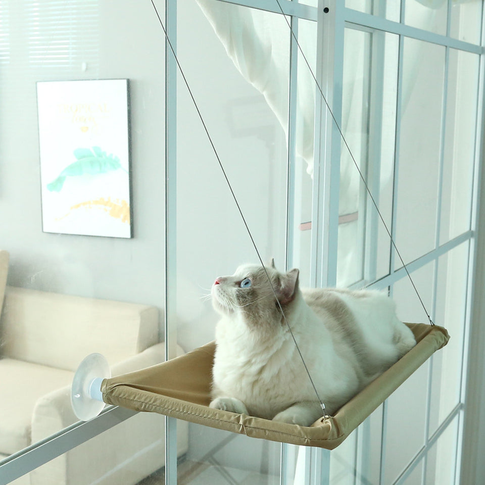 Katzen Hängematte