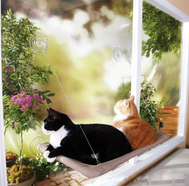 Katzen Hängematte
