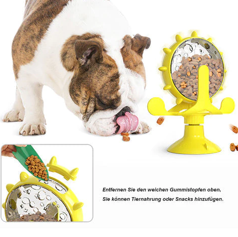 Activity Hunde-&Katzenspielzeug