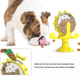 Activity Hunde-&Katzenspielzeug