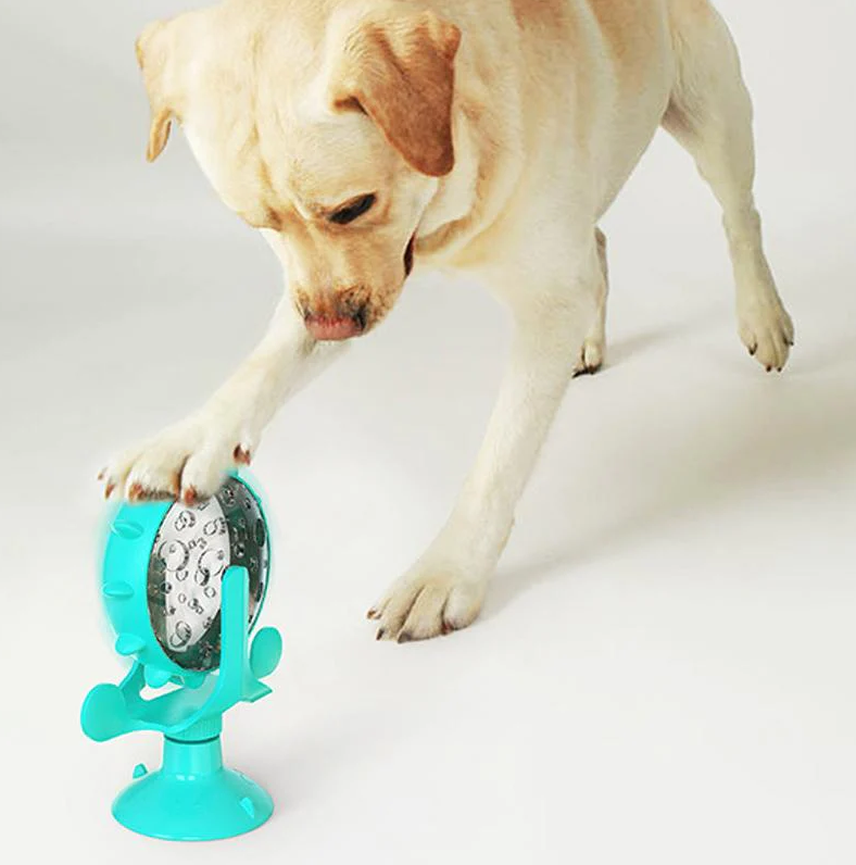 Activity Hunde-&Katzenspielzeug