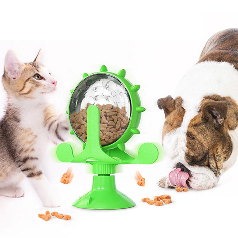 Activity Hunde-&Katzenspielzeug