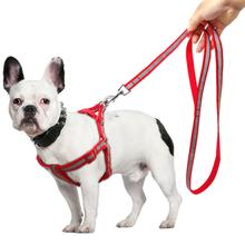 Comfort - Hundegeschirr mit Leine