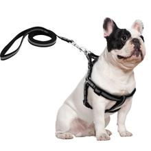 Comfort - Hundegeschirr mit Leine