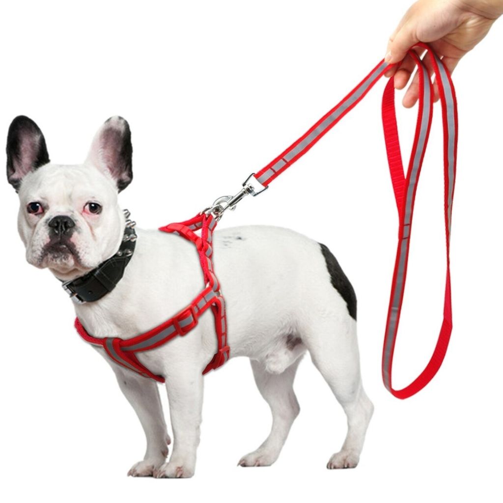 Comfort - Hundegeschirr mit Leine
