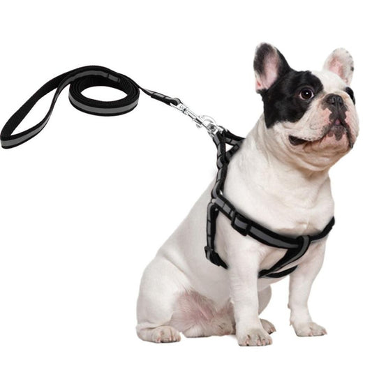 Comfort - Hundegeschirr mit Leine